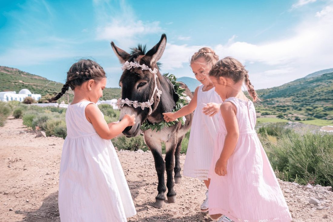 girls play with a donkey in crete