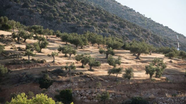 destination wedding venue in Athens