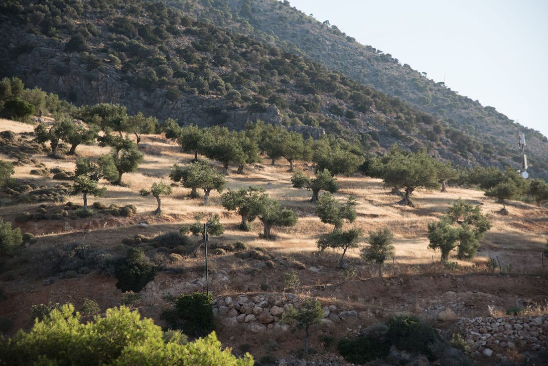 destination wedding venue in Athens