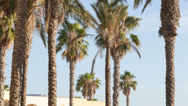 small destination wedding Kos