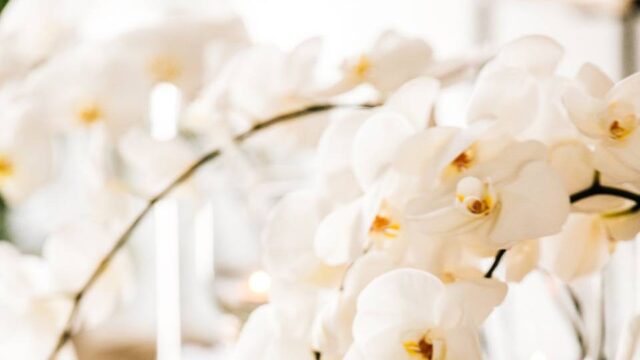 destination wedding greece