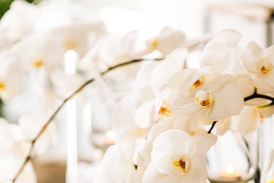 destination wedding greece