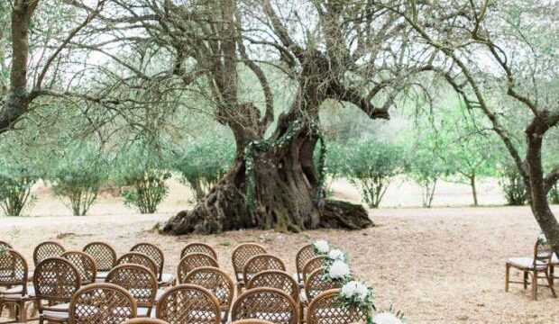 Tie the Knot in Santorini Wedding Planner Greece16