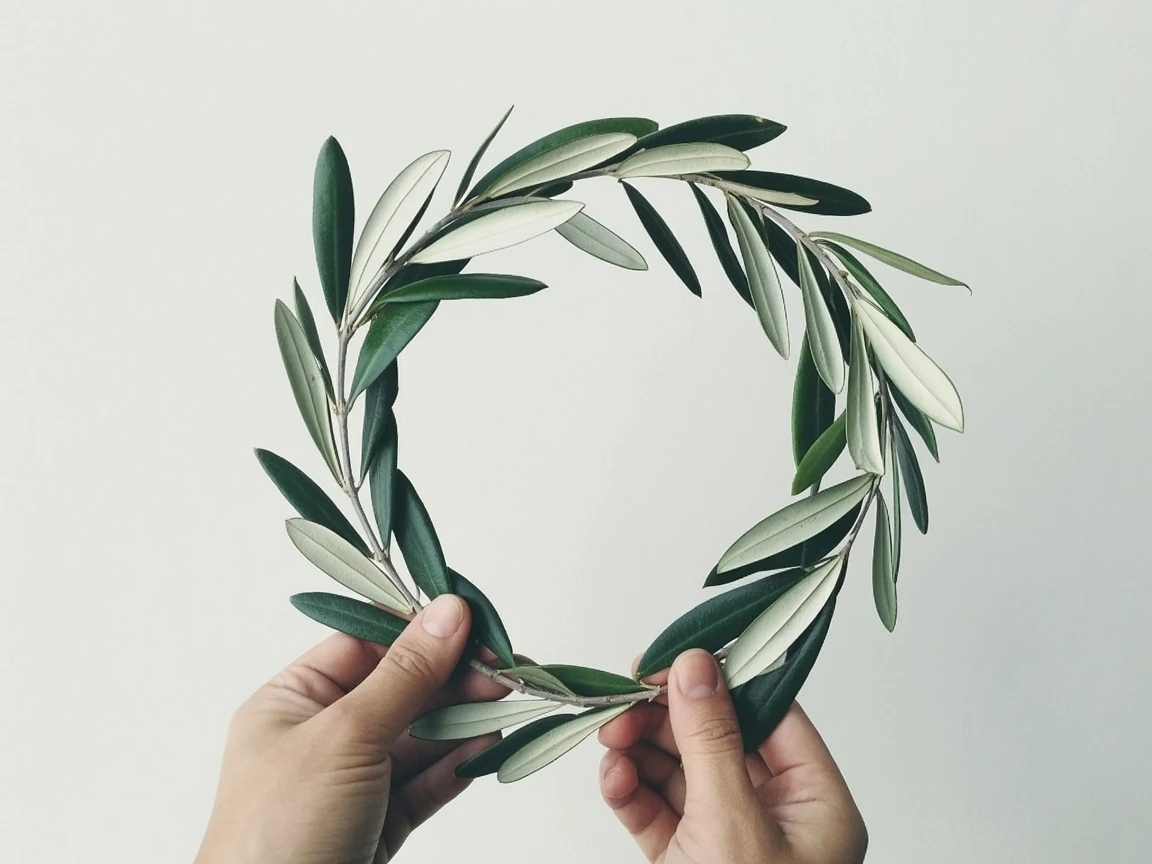 two hands holding an olive branch in a perfect circle for step 2 of stefana