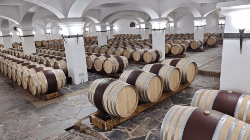 A wine cellar full of barrels on a vineyard in crete greece