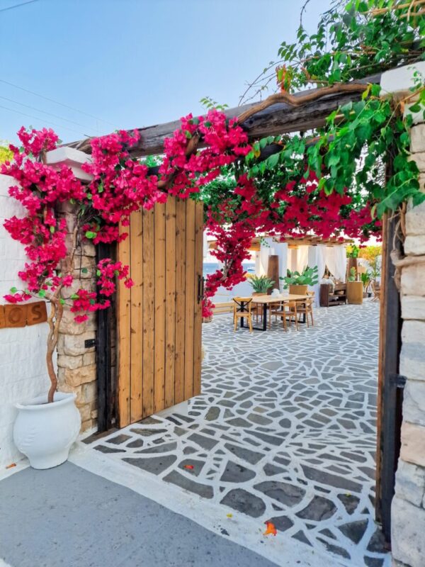 Bougainvillea covered entrance archway at Lythos wedding venue, Rhodes