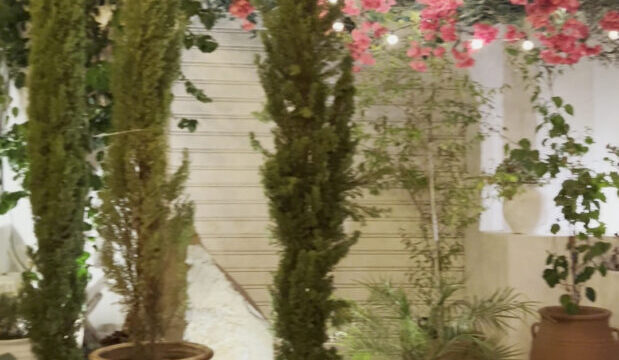 Whitewashed courtyard with bougainvillea and terracotta urns at Lythos, Rhodes
